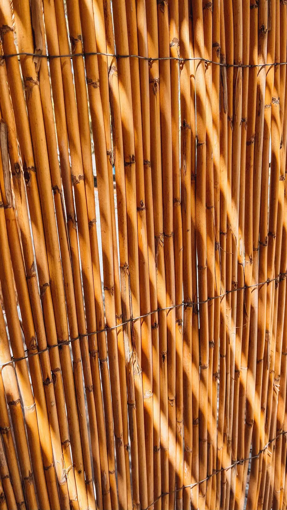Close-up of a bamboo screen with sunlight coming through the canes