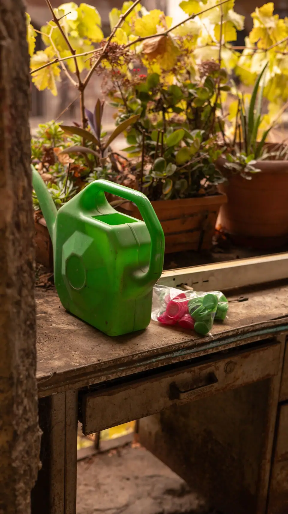 A green plastic watering can on a wooden ledge among potted plants on a balcony