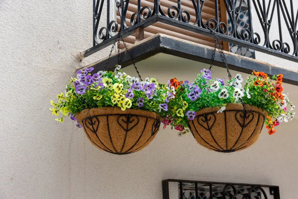 Two coir-lined hanging baskets of petunias hung under a balcony
