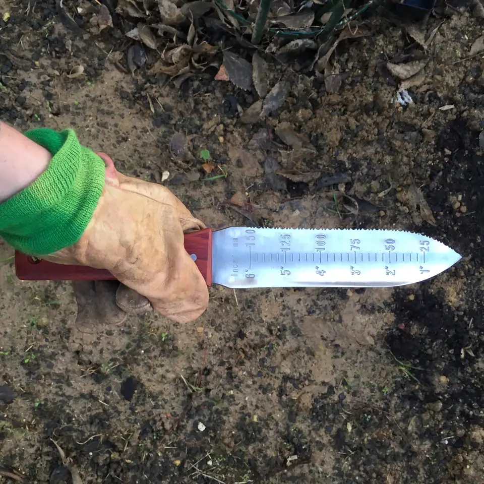 A gloved hand holding a hori hori garden knife with a measuring scale on the blade