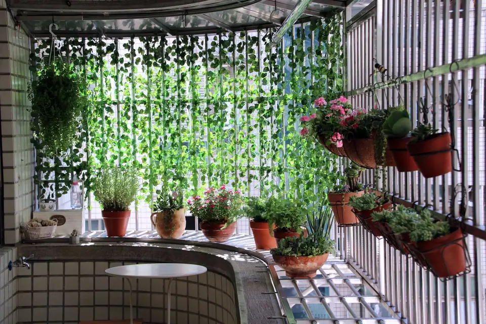Balcony with an ivy curtain and rows of potted plants hung on the railing