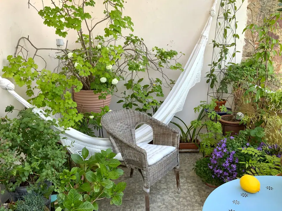 Leafy terrace with a hanging hammock chair, a wicker chair and potted plants
